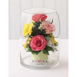 Желтые орхидеи и розовые розы (Цветы в стекле)