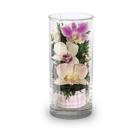 Орхидеи в цилиндре (Цветы в стекле)