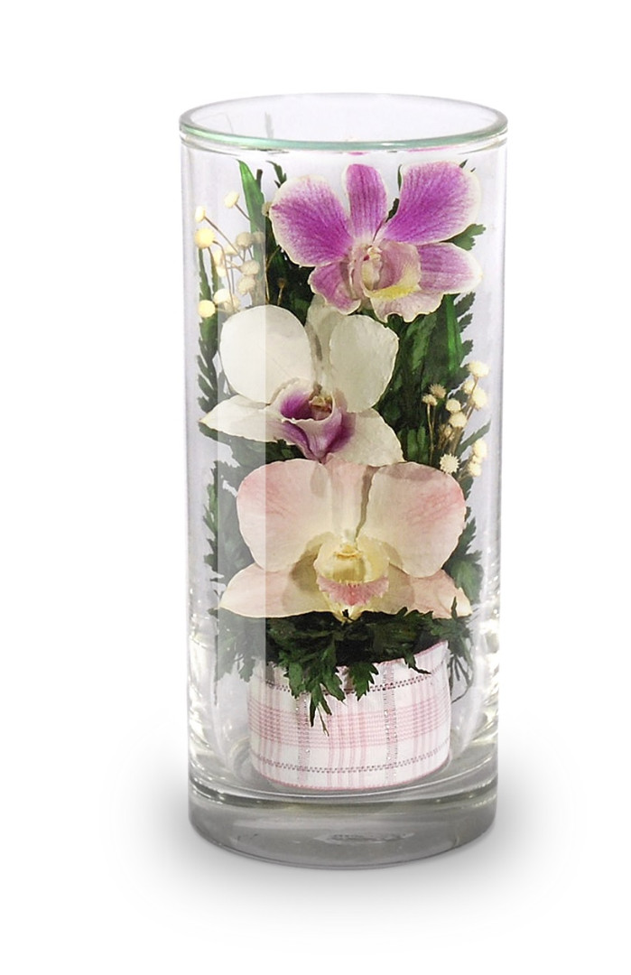Орхидеи в цилиндре (Цветы в стекле)