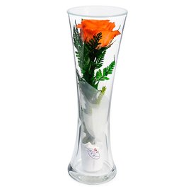 Оранжевая роза в высокой вазе