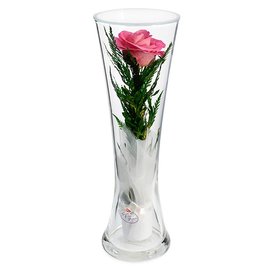 Розовая роза в высокой вазе