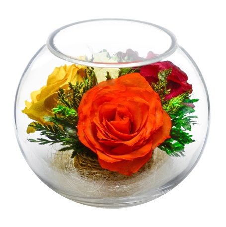 Яркие розы (Цветы в стекле)
