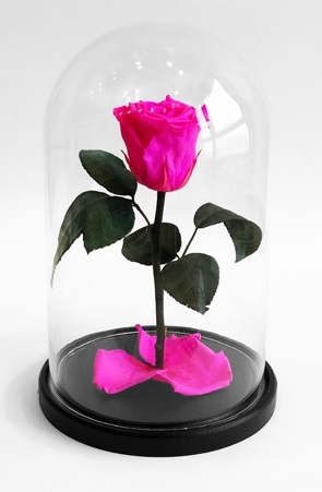 Роза в колбе S, фуксия, 27х15 см