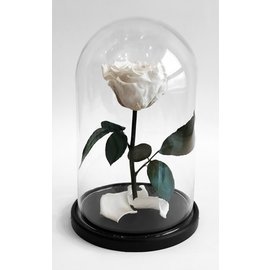 Роза в колбе S, белая, 27х15 см