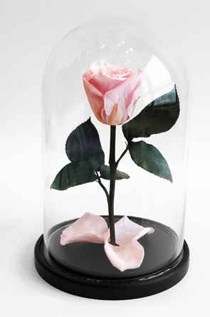 Роза в колбе S, нежно-розовая, 27х15 см