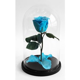 Роза в колбе S, голубая, 27х15 см