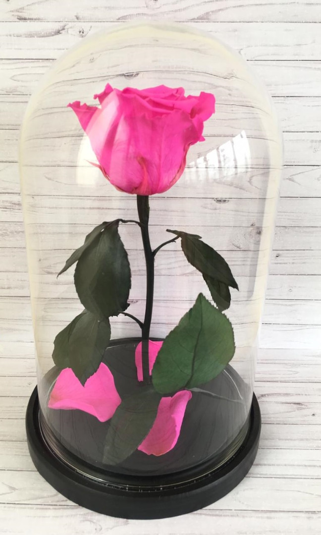 Роза в колбе M, фуксия, 27х15 см