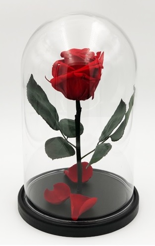 Роза в колбе M, красная, 27х15 см
