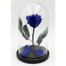 Роза в колбе M, синяя, 27х15 см