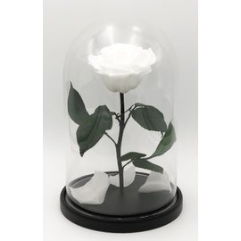 Роза в колбе L, белая, 27х15 см