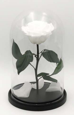 Роза в колбе L, белая, 27х15 см