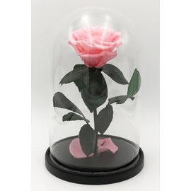Роза в колбе L, розовая, 27х15 см