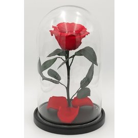 Роза в колбе L, красная, 27х15 см