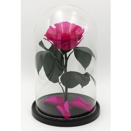 Роза в колбе L, фуксия, 27х15 см