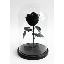 Роза в колбе S, черная, 27х15 см