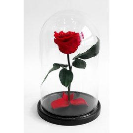 Роза в колбе S, красная, 27х15 см