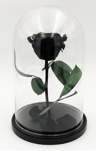Роза в колбе M, шоколадная, 27х15 см