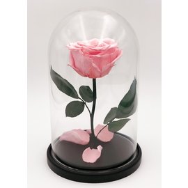 Роза в колбе M, нежно-розовая, 27х15 см