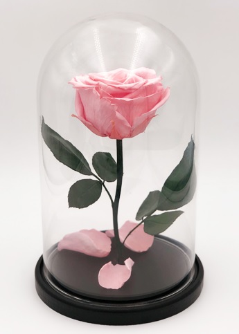 Роза в колбе M, нежно-розовая, 27х15 см