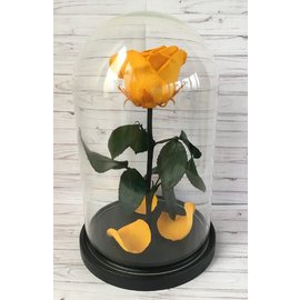 Роза в колбе M, желто-оранжевая, 27х15 см