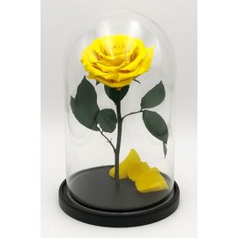 Роза в колбе L, желтая, 27х15 см