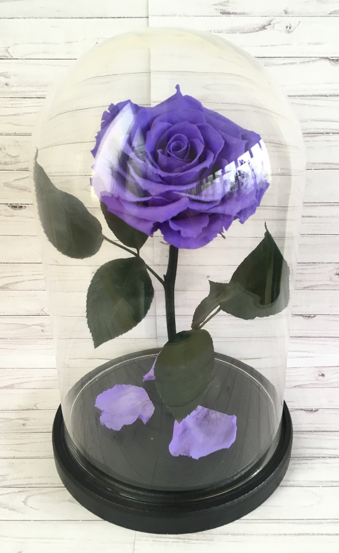 Роза в колбе XXL, нежно-розовая, 30х20 см - Цветы в стекле, подарки в Москве