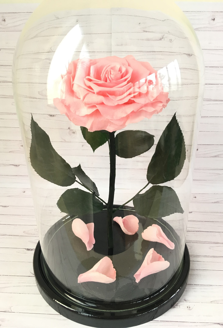 Роза в колбе XXL, нежно-розовая, 30х20 см