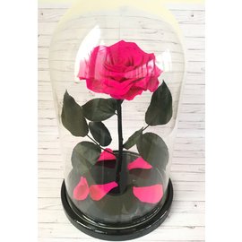 Роза в колбе XXL, малиновая, 30х20 см