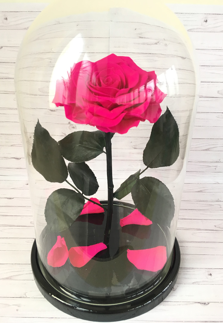 Роза в колбе XXL, малиновая, 30х20 см