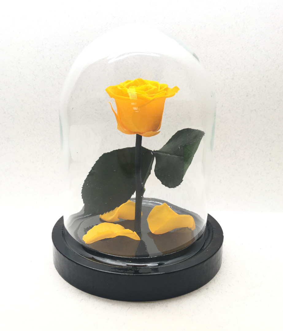 Роза в колбе 14,5х11 см, оранжевая