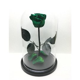 Роза в колбе S, зеленая, 27х15 см