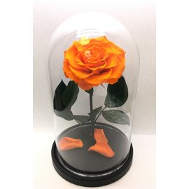 Роза в колбе XL, оранжевая, 27х15 см