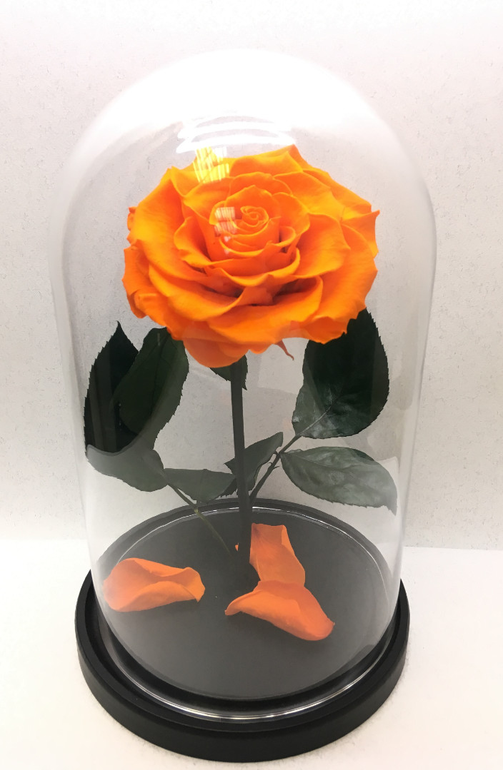 Роза в колбе XL, оранжевая, 27х15 см