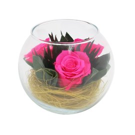 Розы фуксия в среднем шаре в коробке