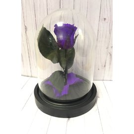 Роза в колбе 14,5х11 см, фиолетовая