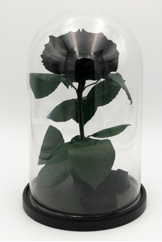 Роза в колбе XXL, черная, 30х20 см