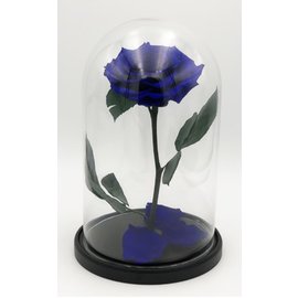 Роза в колбе XXL, синяя, 30х20 см