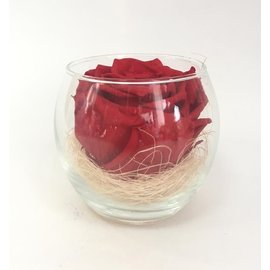 Красная роза в круглой вазе