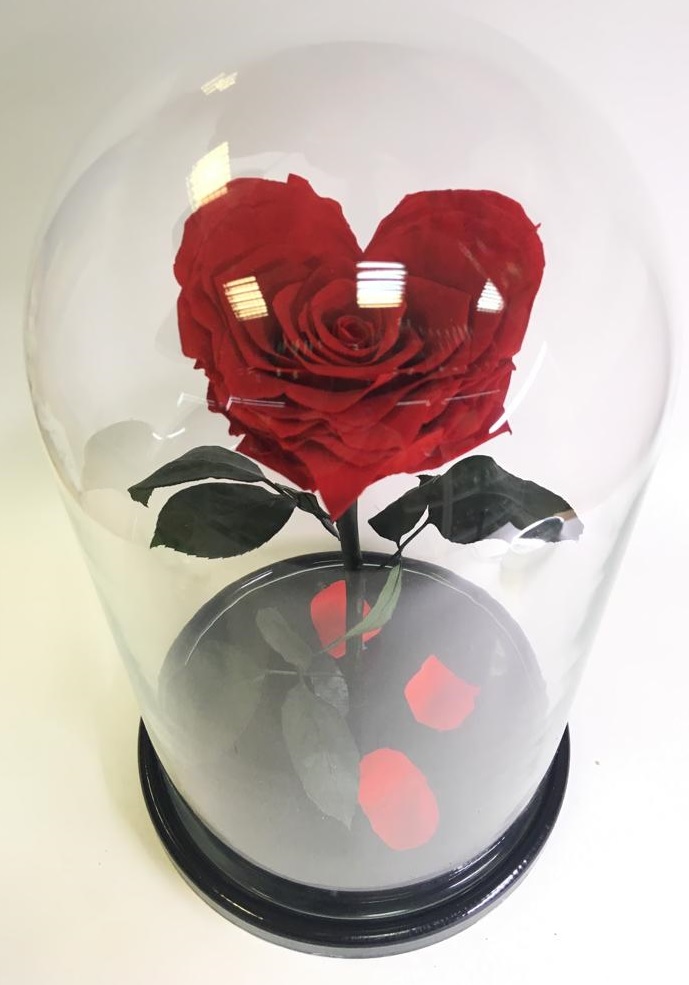 Роза в колбе 30х20 см, сердце, красная