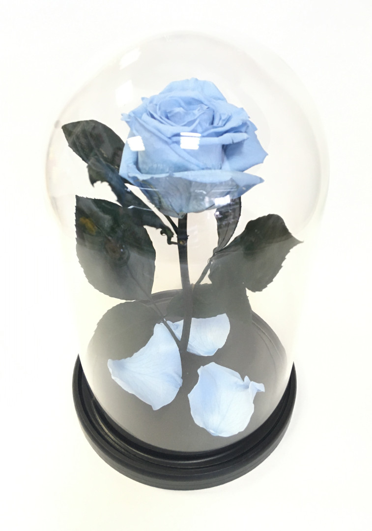Роза в колбе L, голубая, 27х15 см