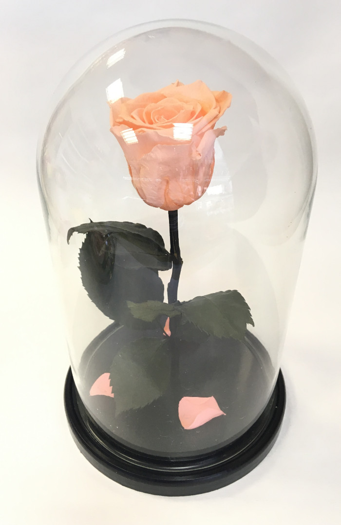 Роза в колбе S, персиковая, 27х15 см