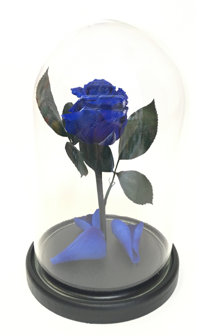 Роза в колбе, синяя, 21х12 см