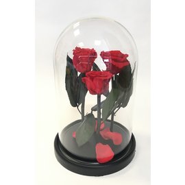 Роза в колбе трио, красная, 21х12 см