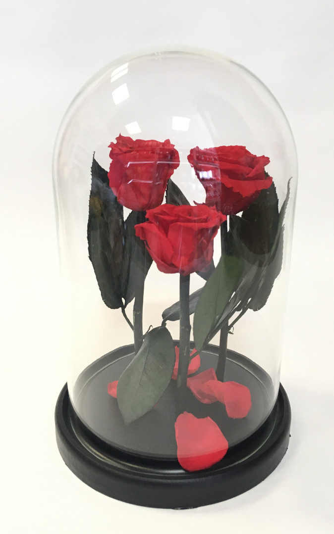 Роза в колбе трио, красная, 21х12 см