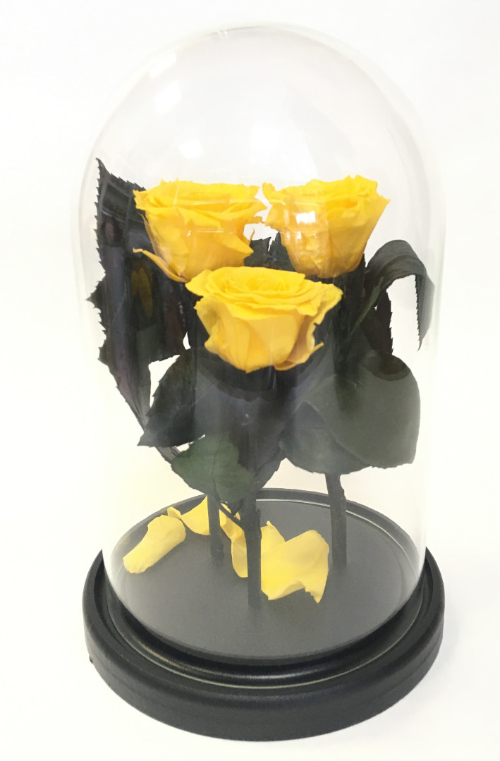 Роза в колбе трио, желтая, 21х12 см