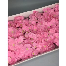 Гортензия — розовая 25 шт