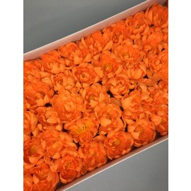 Хризантема — оранжевая 50 шт