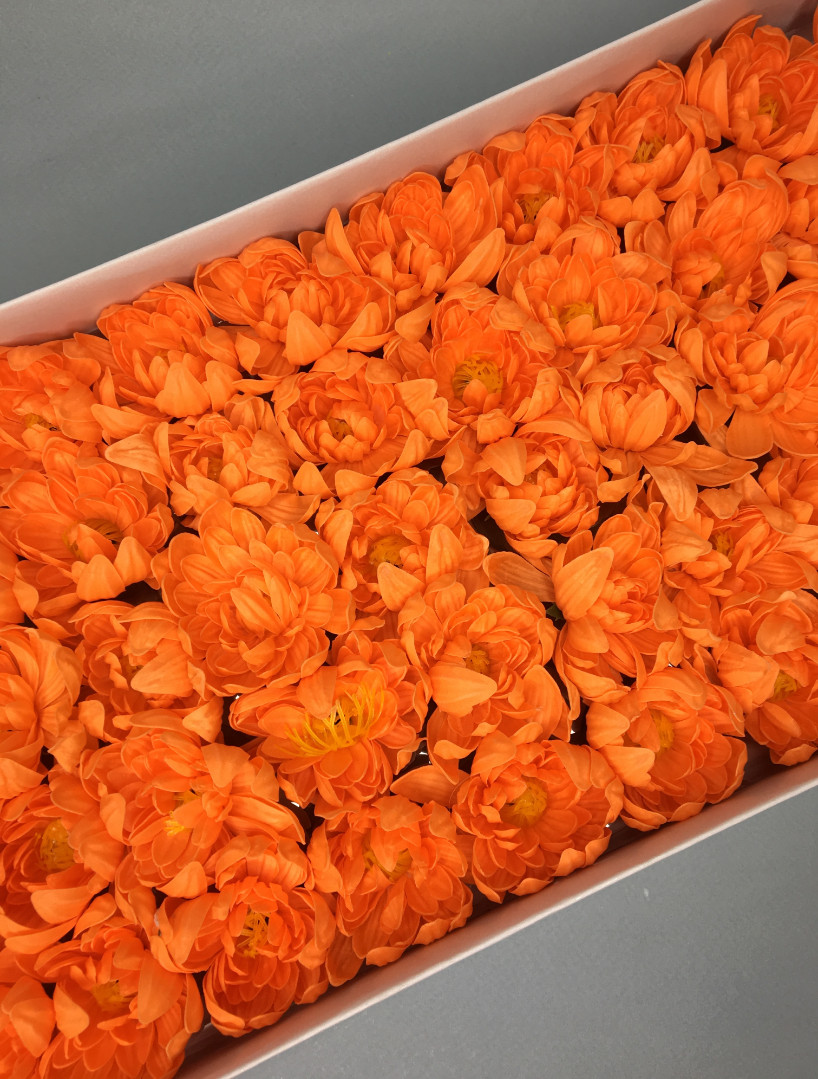 Хризантема — оранжевая 50 шт