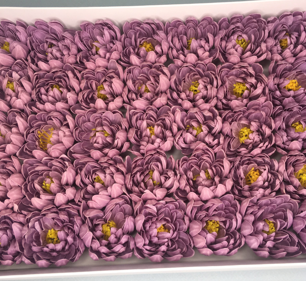 Хризантема — фиолетовая 50 шт