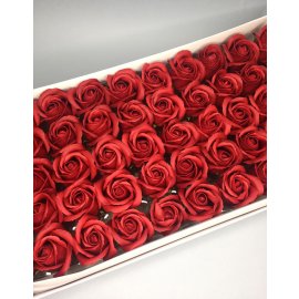 Роза — бордовая 50 шт